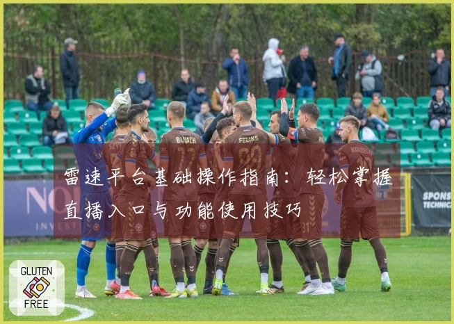 雷速平台基础操作指南：轻松掌握直播入口与功能使用技巧